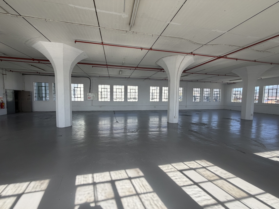 To Let Commercial Property for Rent in Woodstock Western Cape